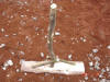 Concrete tamping tool