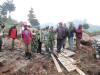 Workers bringing Trees
