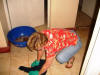 Janice cleaning floor