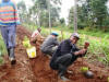 Planting security foilage along the fence