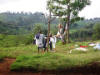 Clothesline