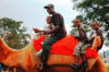 The boys on a camel