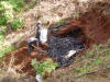 Making charcoal