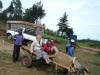 0904-Janice on donkey cart