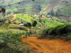 A view of the valley