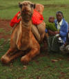 James, Naiomi & camel