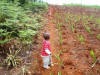 Joshua & Godfrey in the Shamba
