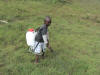 Kelvin with sprayer