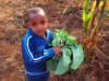Hezekiel working in Shamba