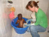 Godfrey taking bath