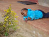 James going for the plant